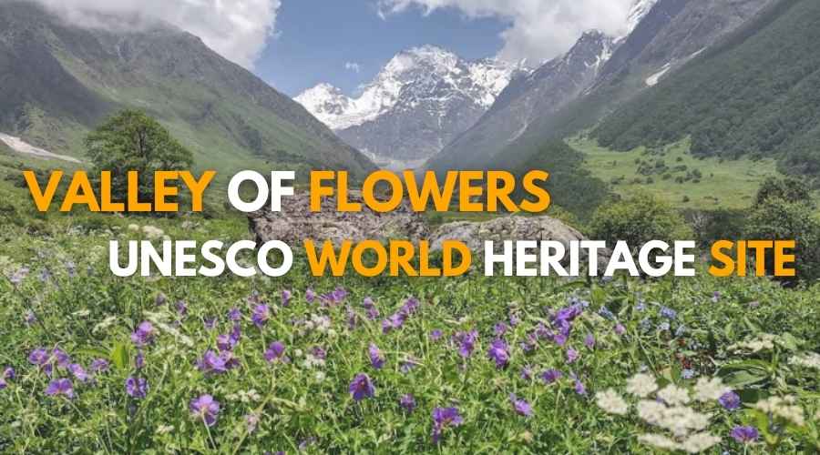 Valley Of Flowers National Park : A Blooming Himalayan Paradise 
